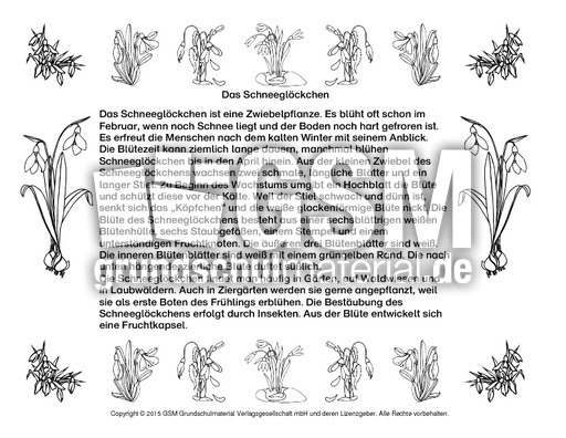Abschreibtext-Schneeglöckchen-SW.pdf